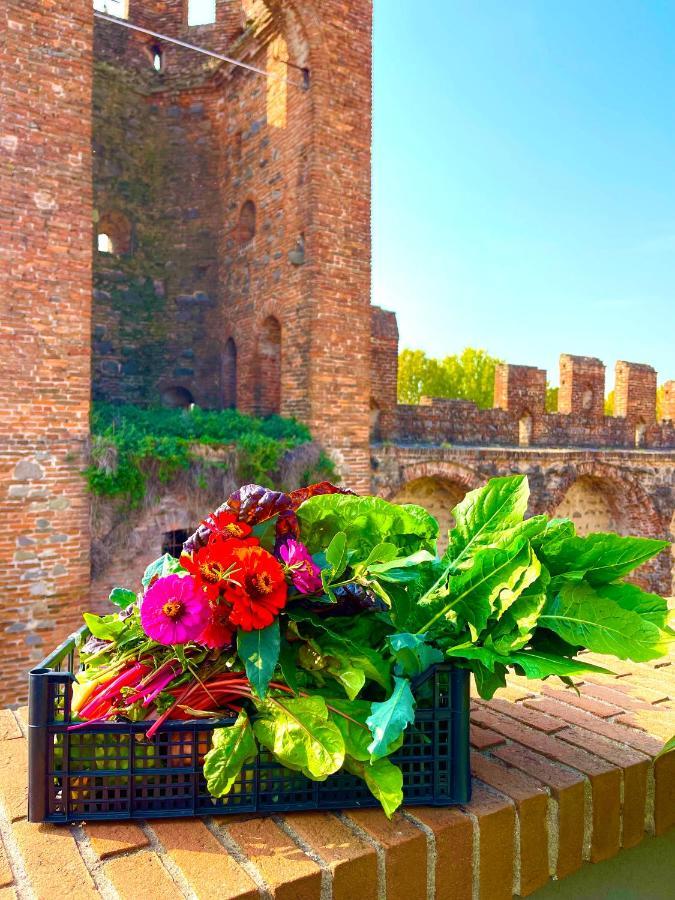 Apartmán Ca' Del Sole - Attico Panoramico In Centro Storico Montagnana  Exteriér fotografie