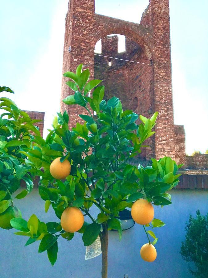 Apartmán Ca' Del Sole - Attico Panoramico In Centro Storico Montagnana  Exteriér fotografie